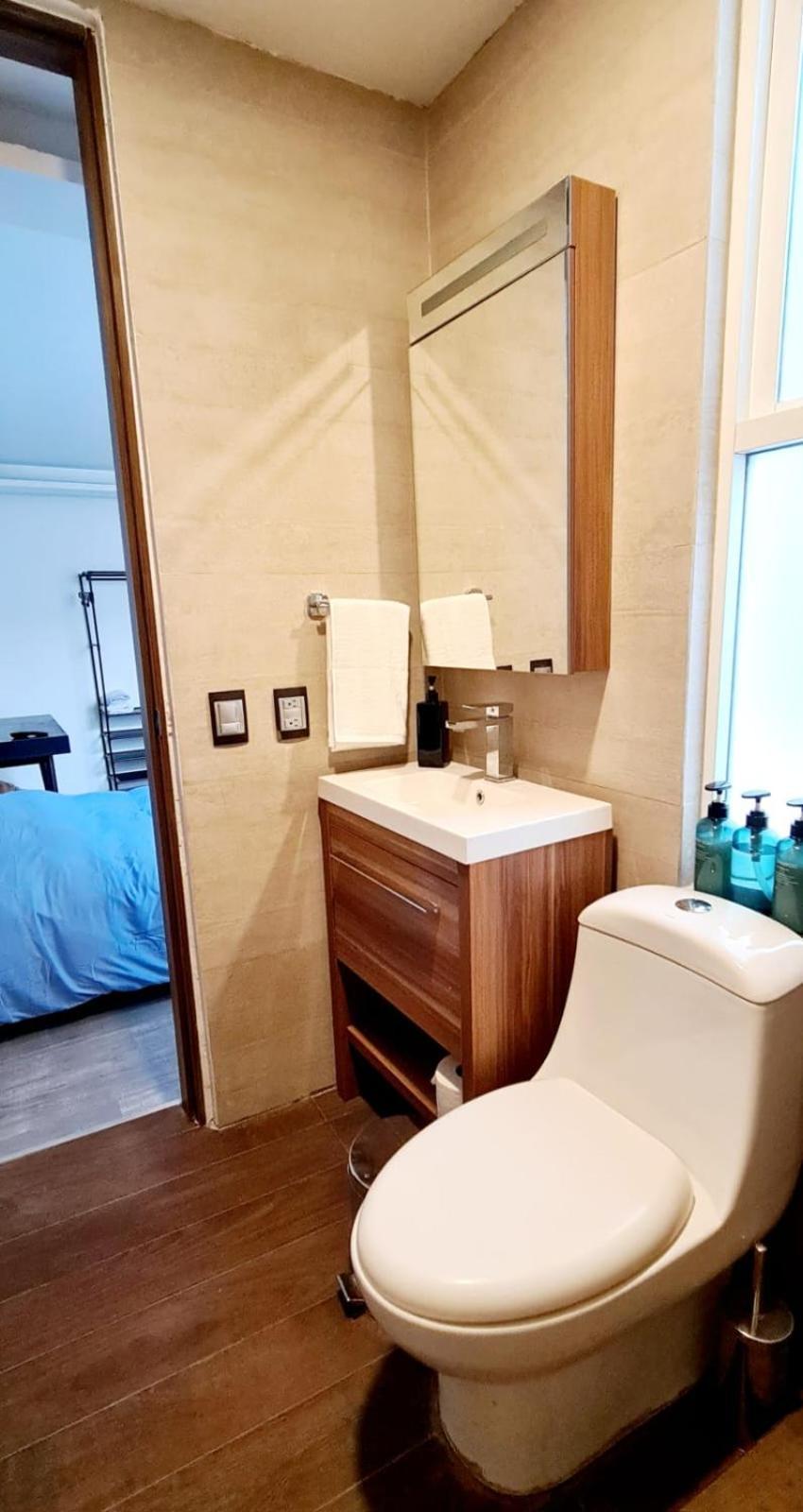 Calida Casa Pet Friendly, Cdmx Apartment Mexico City Exterior photo