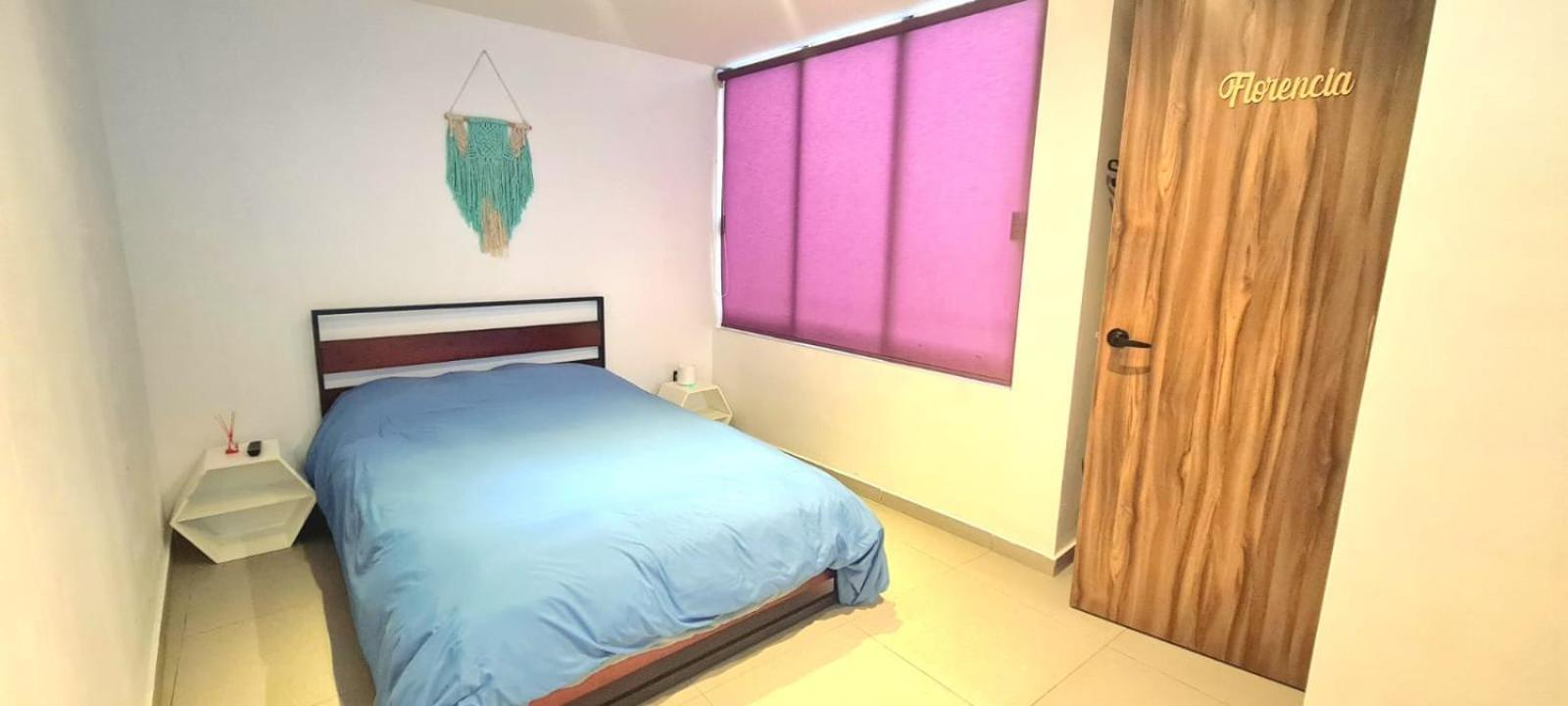 Calida Casa Pet Friendly, Cdmx Apartment Mexico City Exterior photo